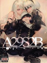 A29S2B (Nier: Automata)